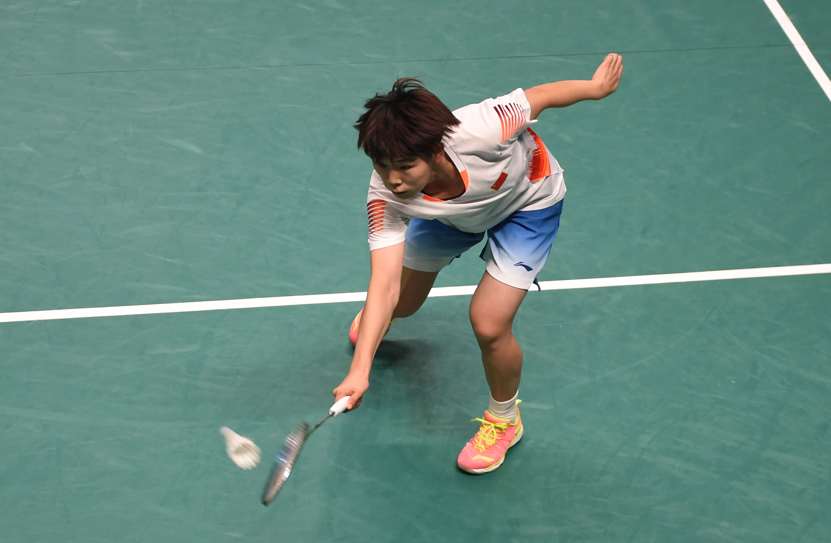 生涯开了一 生涯开了一