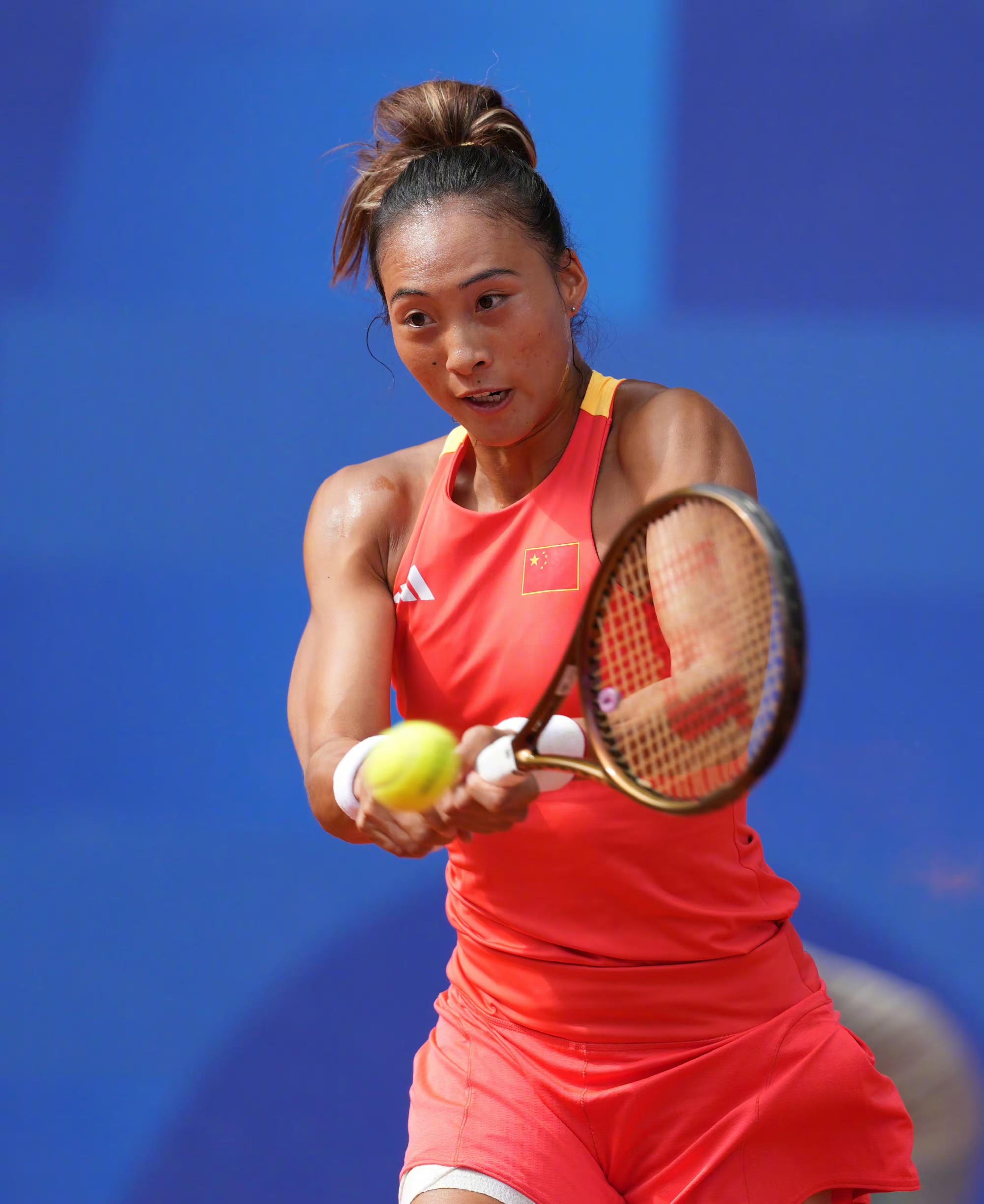 对于张成龙 对于张成龙